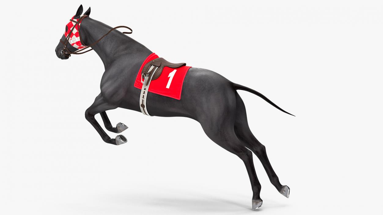 Racehorse Black Rigged 3D