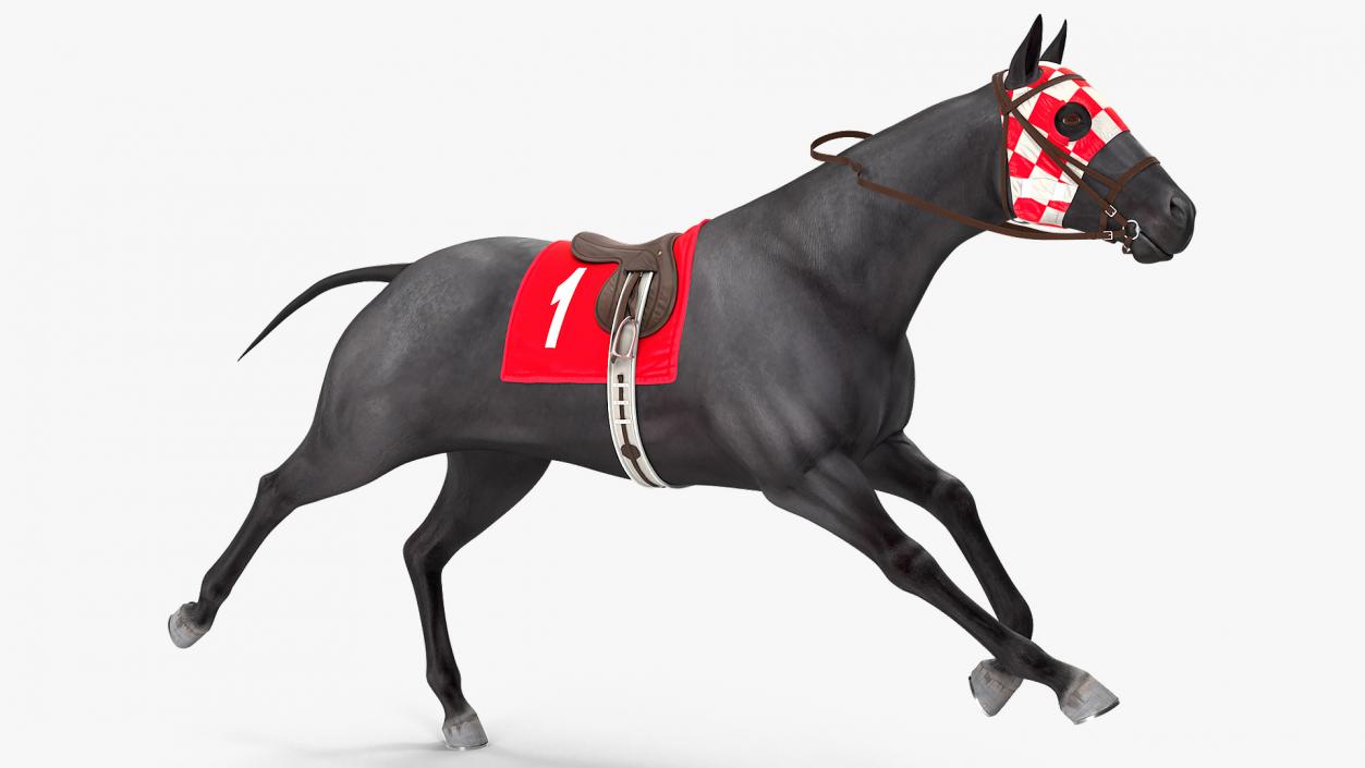 Racehorse Black Rigged 3D