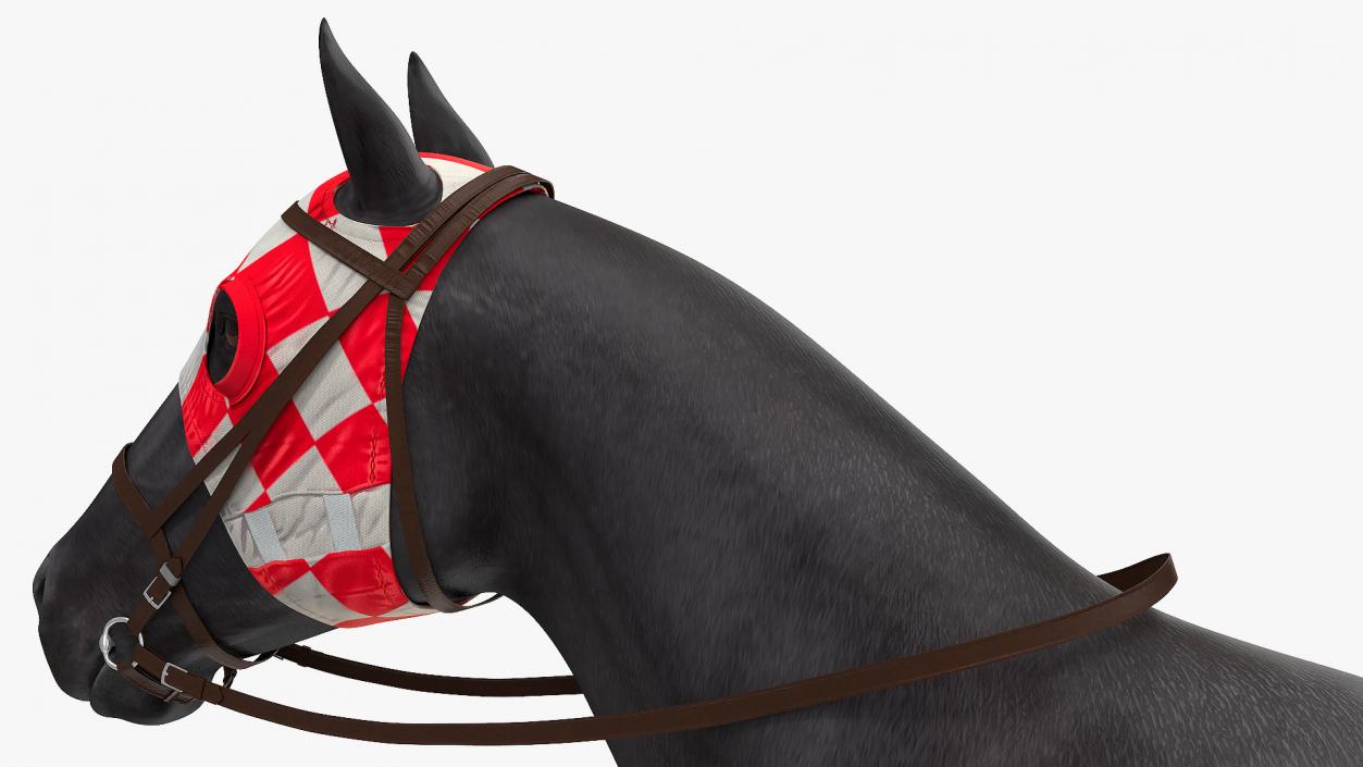 Racehorse Black Rigged 3D