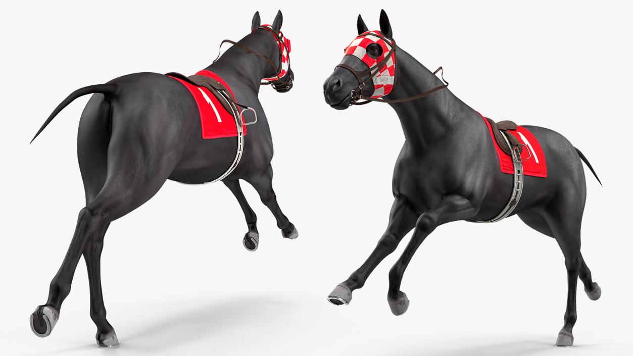 Racehorse Black Rigged 3D