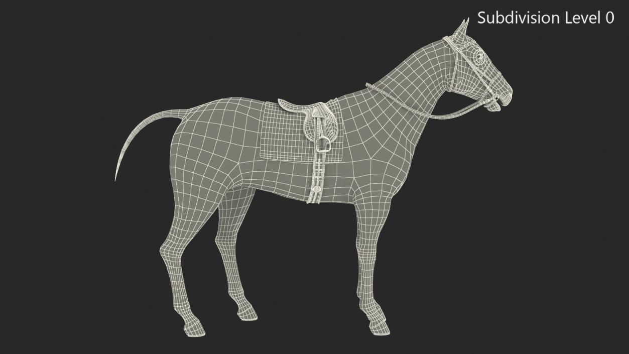 Racehorse Black Rigged 3D