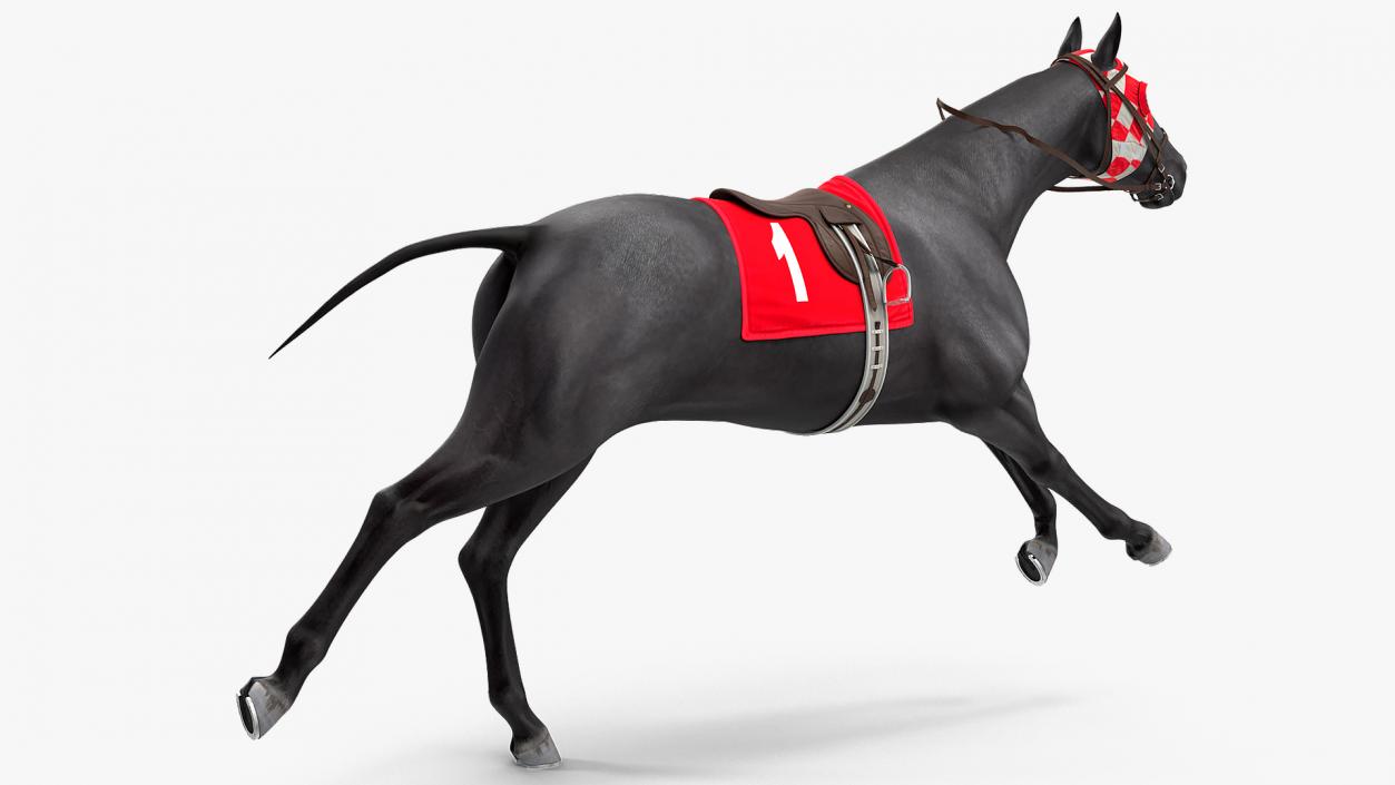 Racehorse Black Rigged 3D