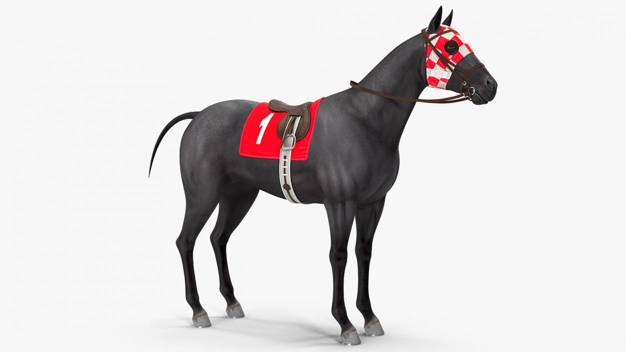 Racehorse Black Rigged 3D