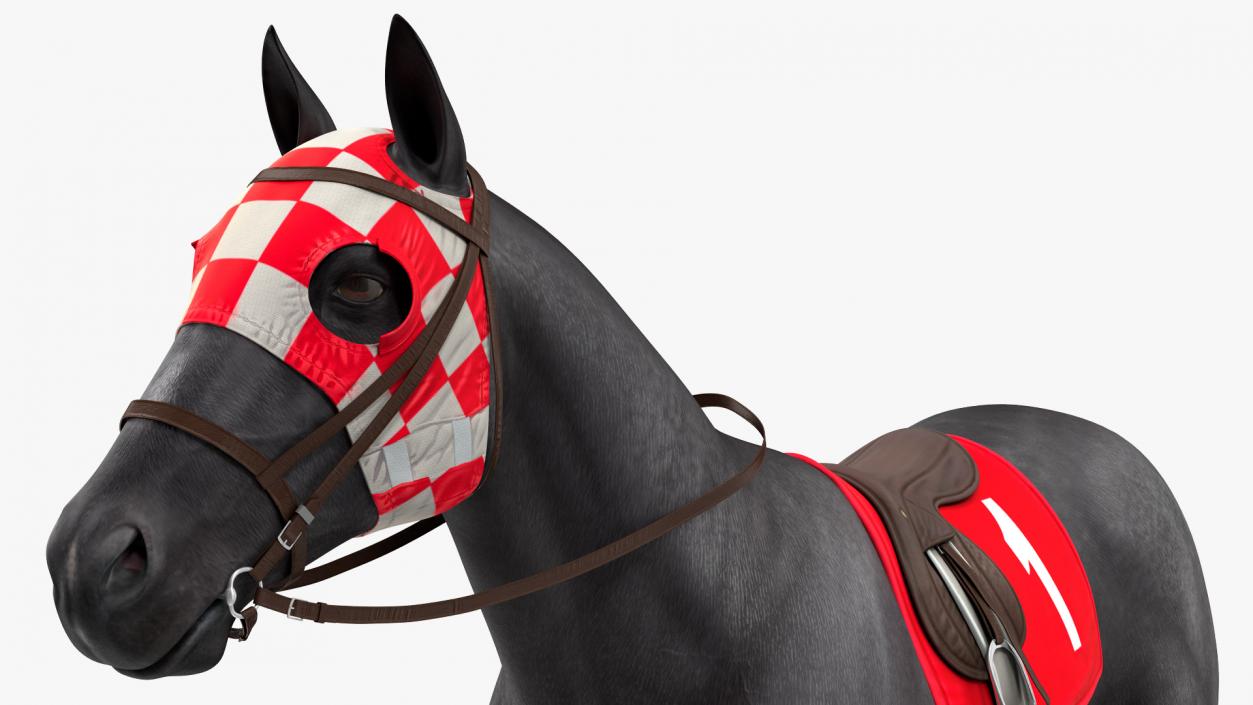 Racehorse Black Rigged 3D