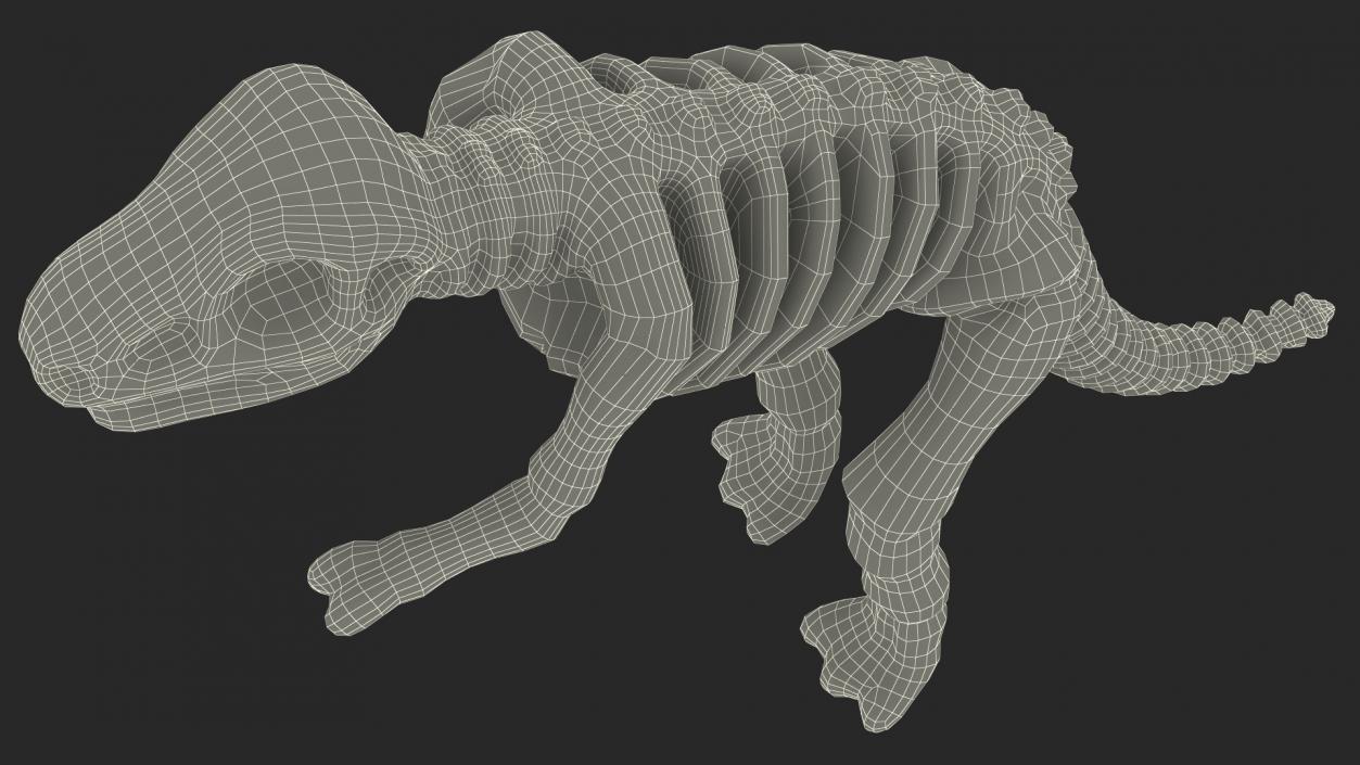 3D Tyrannosaurus Skeleton Toy