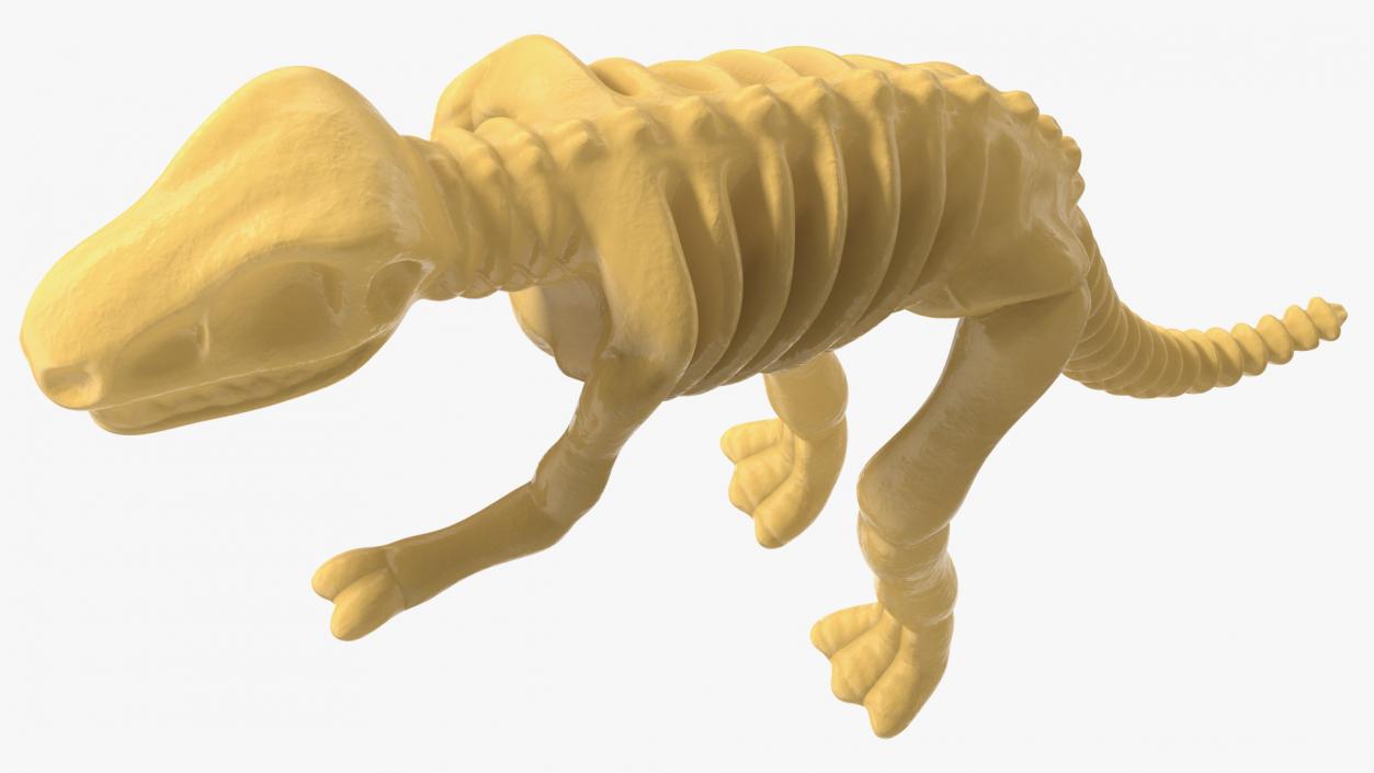 3D Tyrannosaurus Skeleton Toy