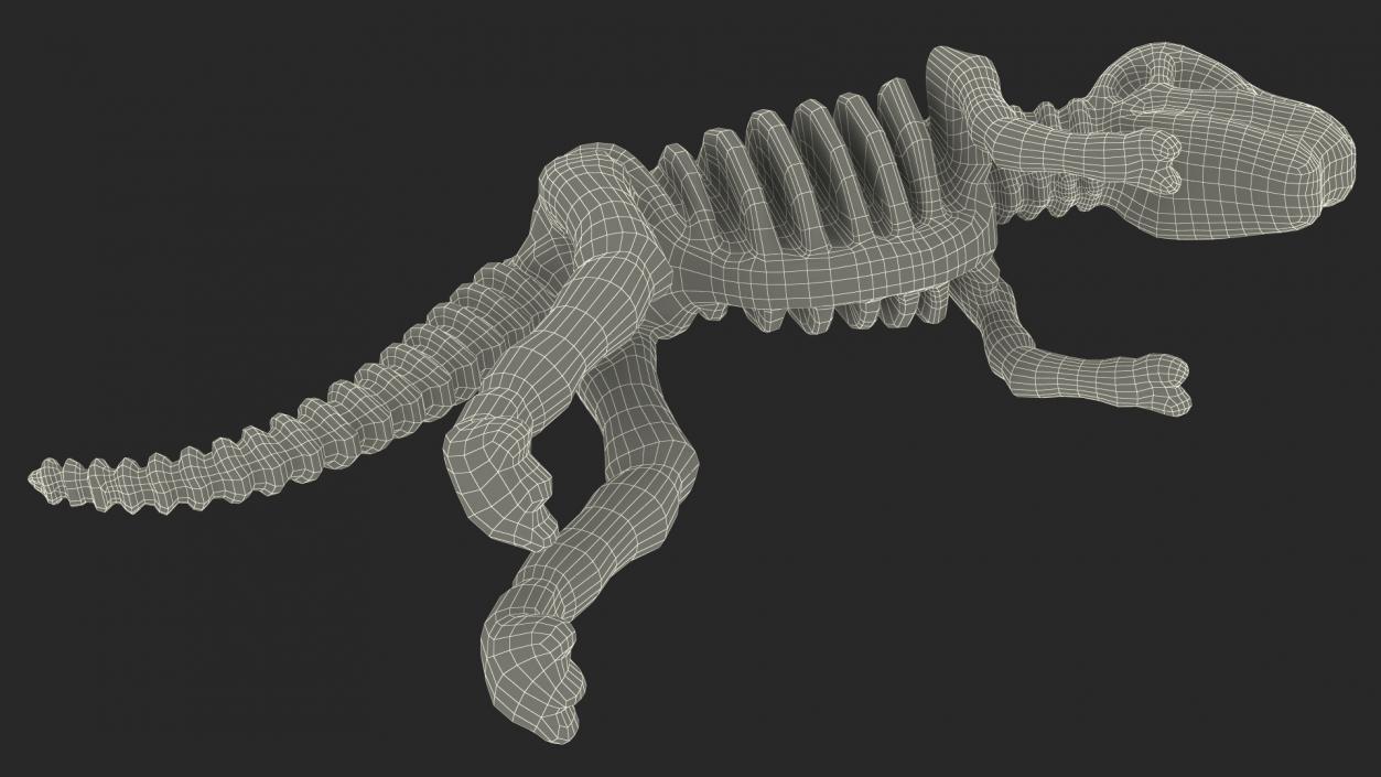 3D Tyrannosaurus Skeleton Toy