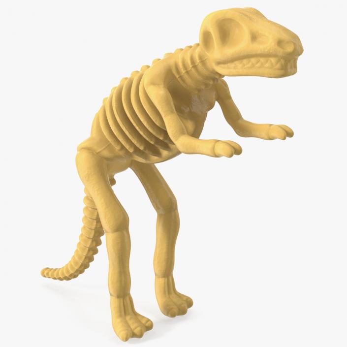 3D Tyrannosaurus Skeleton Toy