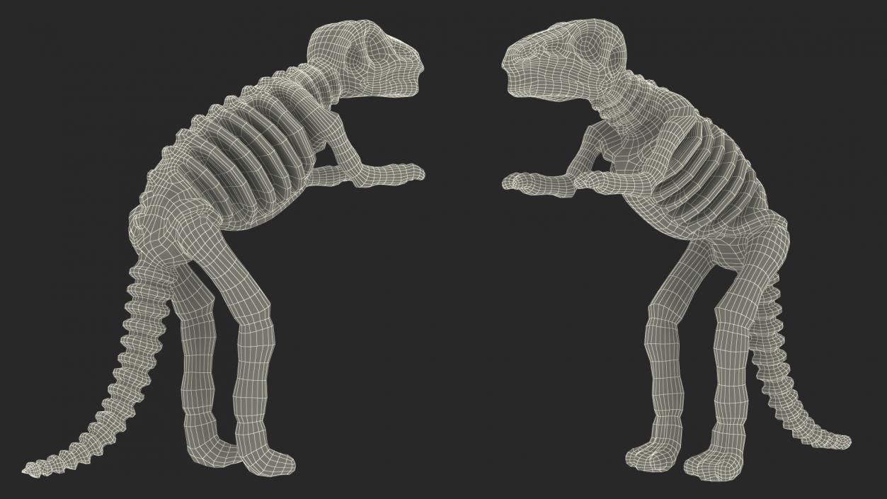 3D Tyrannosaurus Skeleton Toy