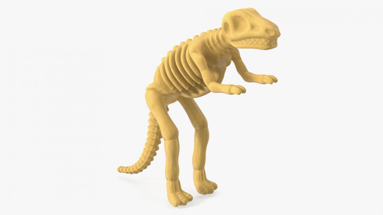 3D Tyrannosaurus Skeleton Toy