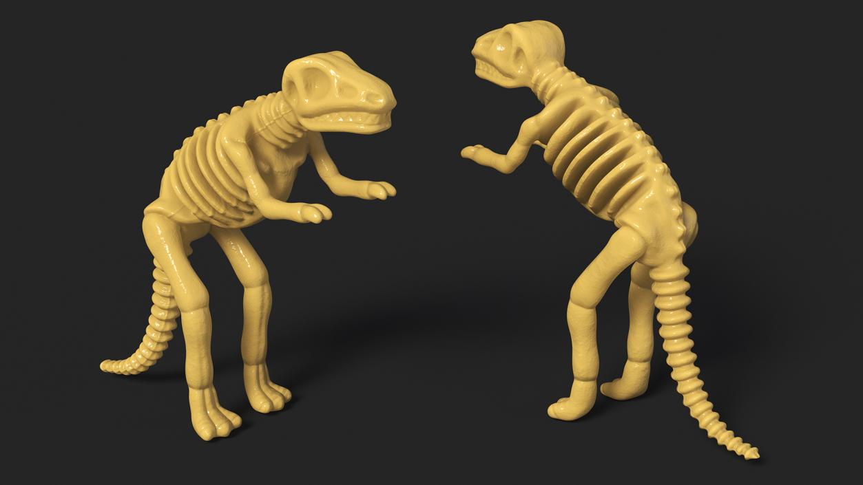 3D Tyrannosaurus Skeleton Toy