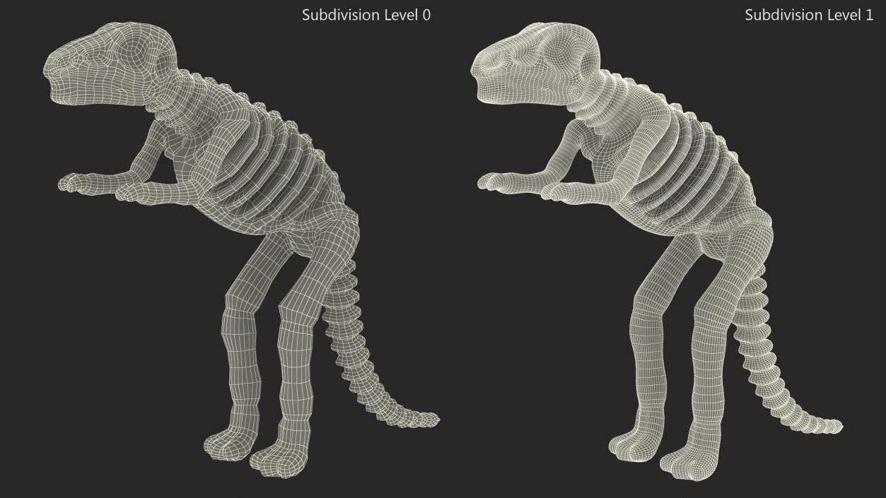 3D Tyrannosaurus Skeleton Toy