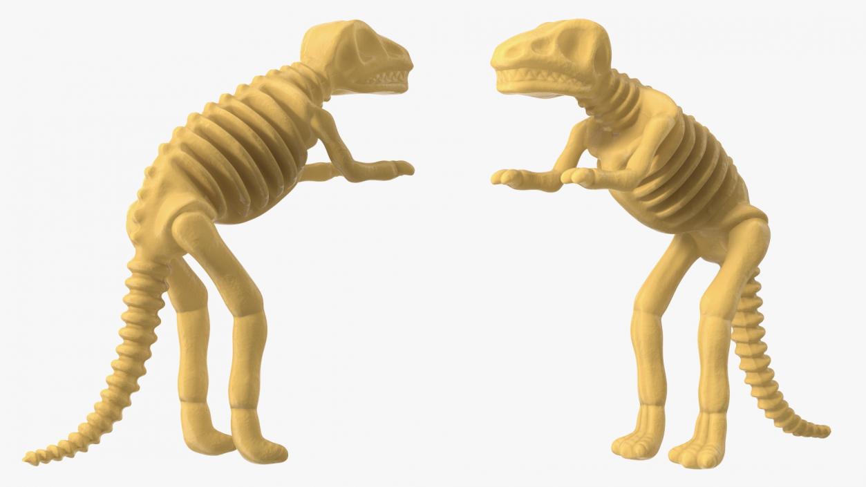 3D Tyrannosaurus Skeleton Toy