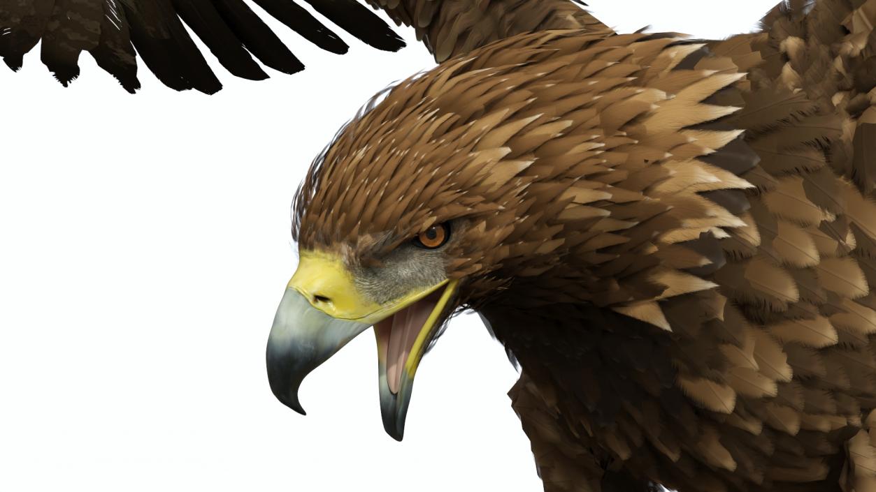 Golden Eagle Attacking 3D