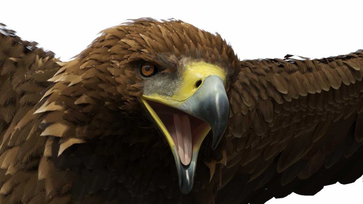 Golden Eagle Attacking 3D