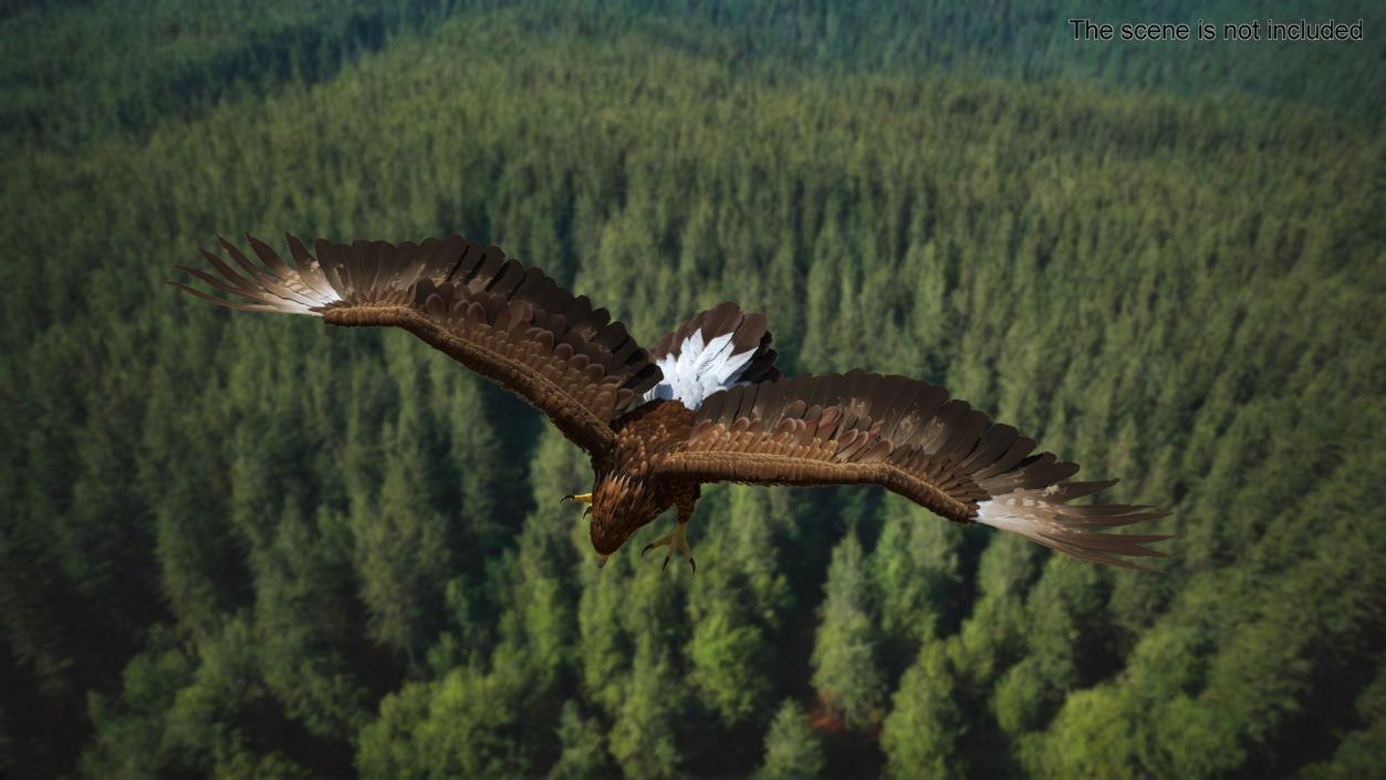 Golden Eagle Attacking 3D