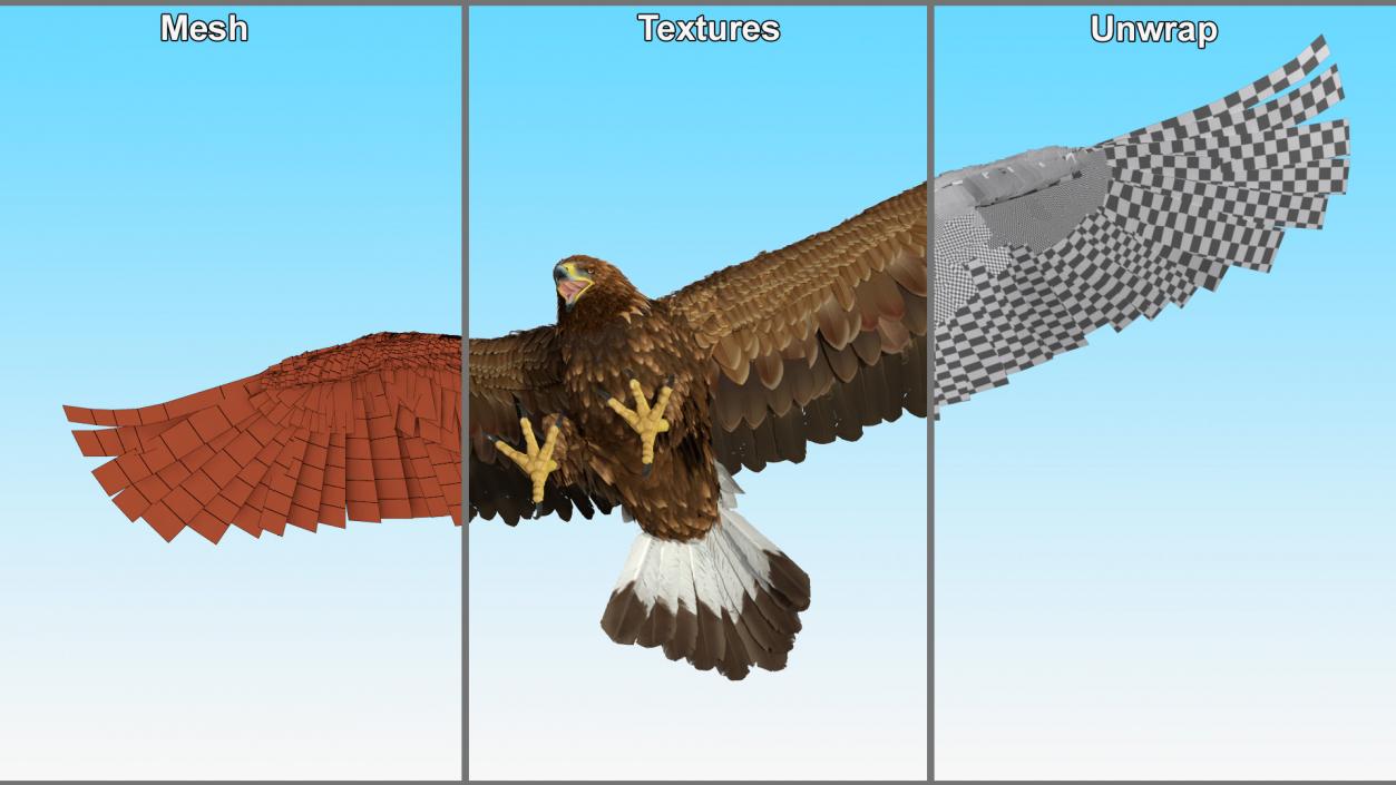 Golden Eagle Attacking 3D