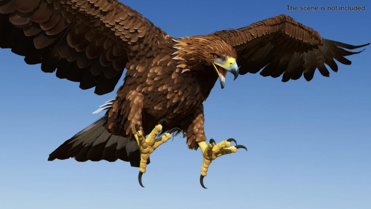 Golden Eagle Attacking 3D