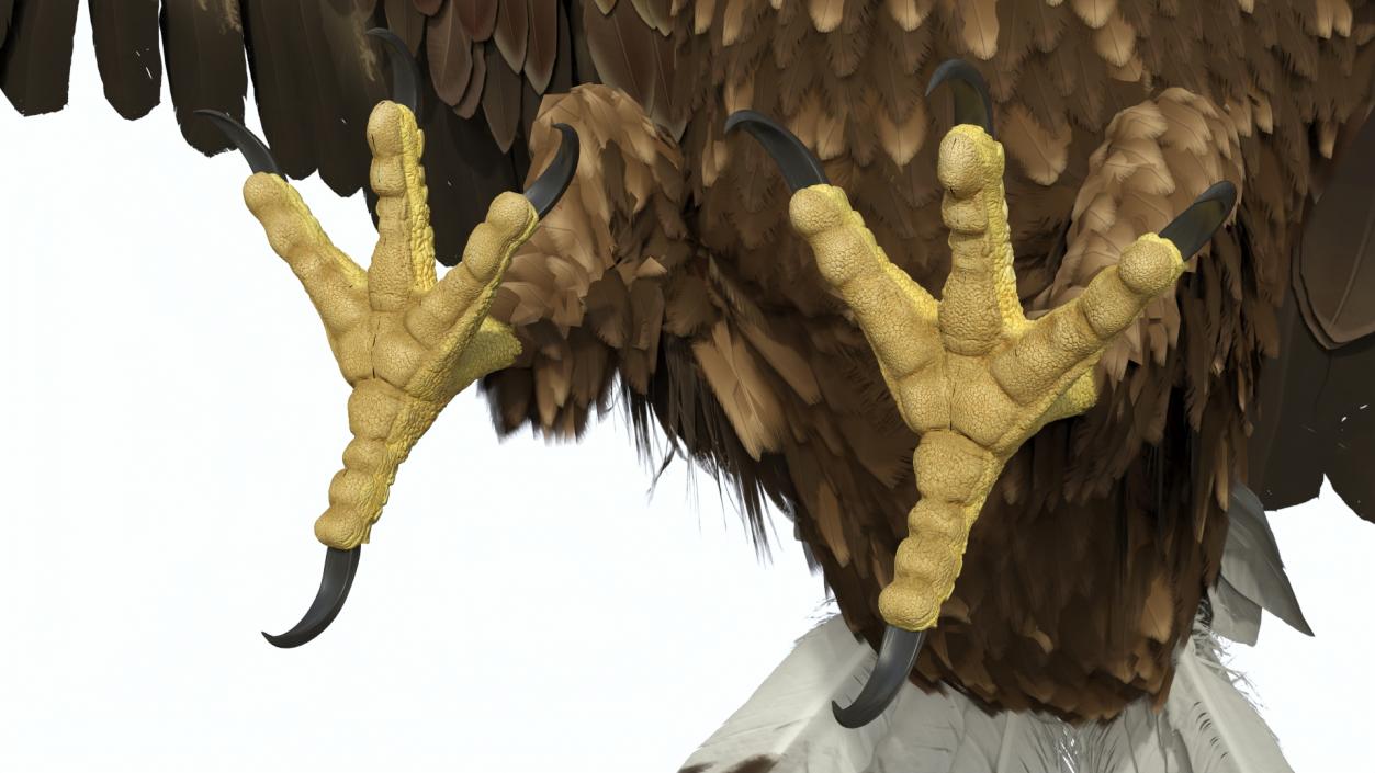 Golden Eagle Attacking 3D