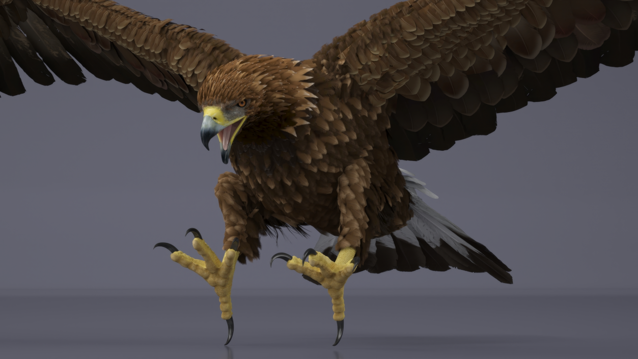 Golden Eagle Attacking 3D