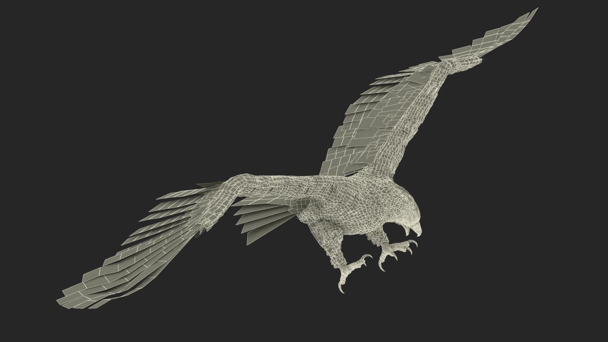 Golden Eagle Attacking 3D