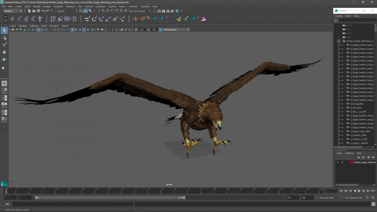 Golden Eagle Attacking 3D