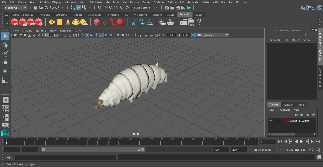 Silkworm White 3D model