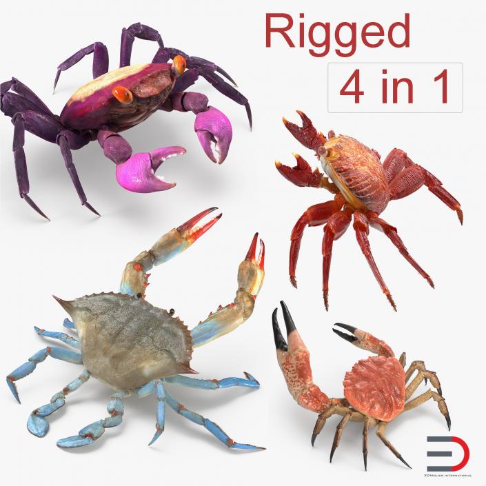 3D Rigged Crabs Collection model