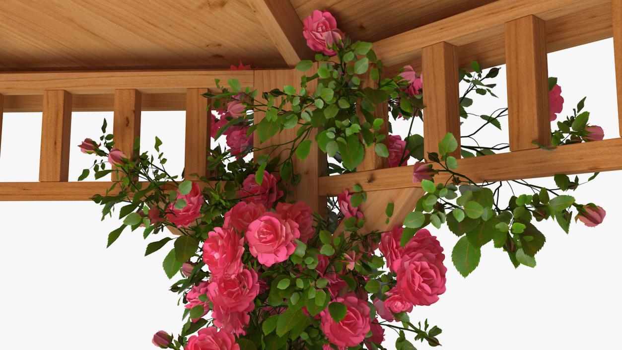 Wooden Gazebo Covered with Pink Roses 3D