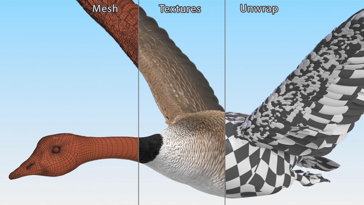 North American Goose Flying Pose 3D