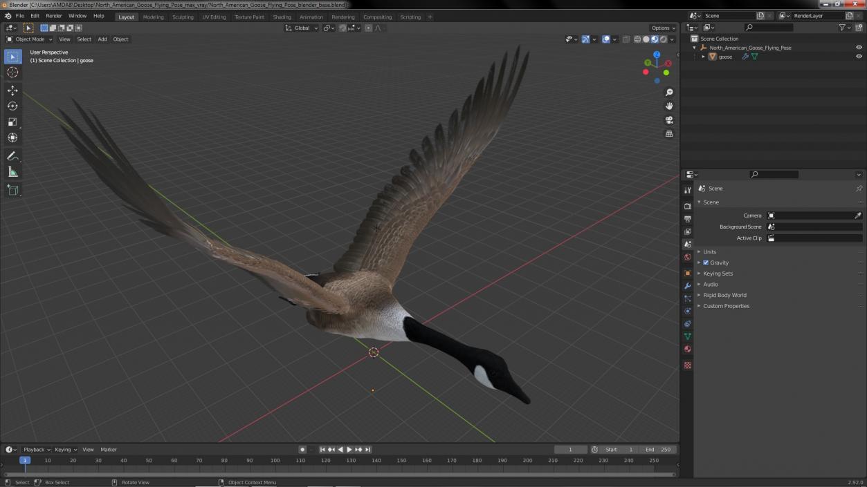 North American Goose Flying Pose 3D