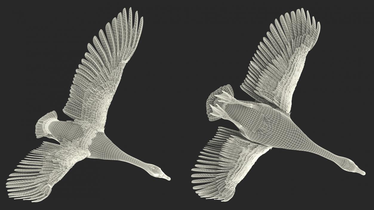 North American Goose Flying Pose 3D