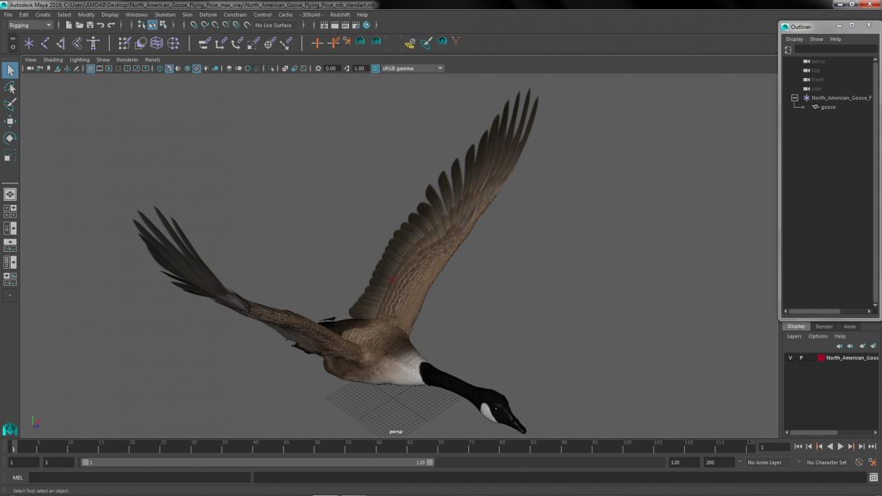 North American Goose Flying Pose 3D