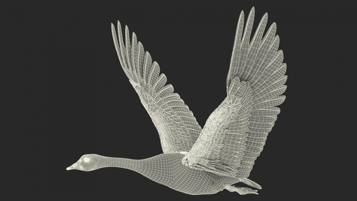 North American Goose Flying Pose 3D