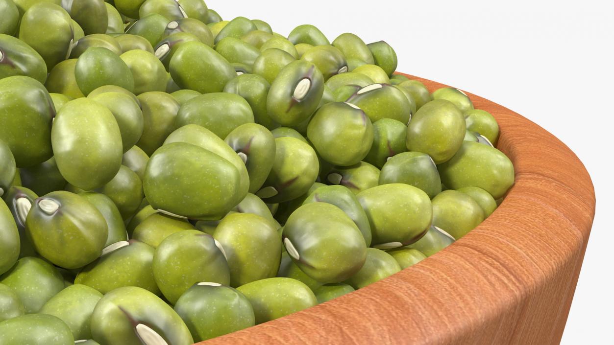 3D Full Bowl of Mung Beans model