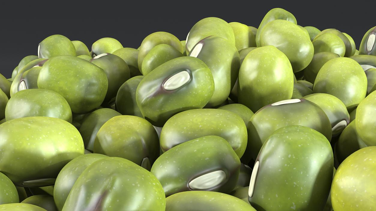 3D Full Bowl of Mung Beans model