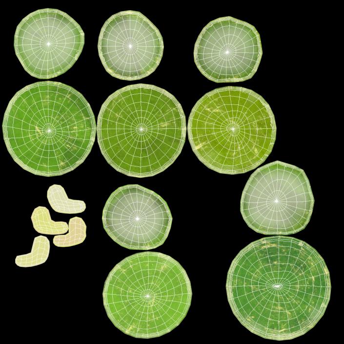 3D Full Bowl of Mung Beans model