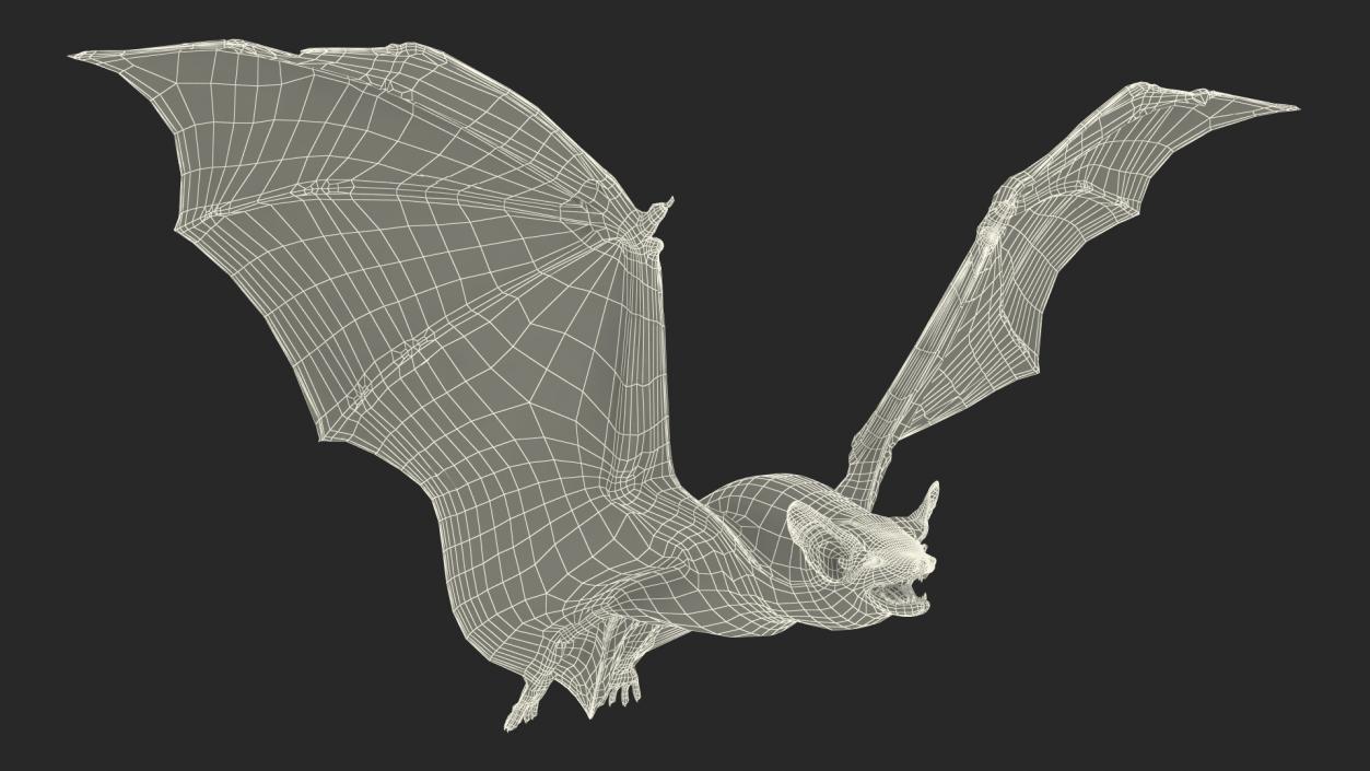 3D model Flying Black Bat Fur