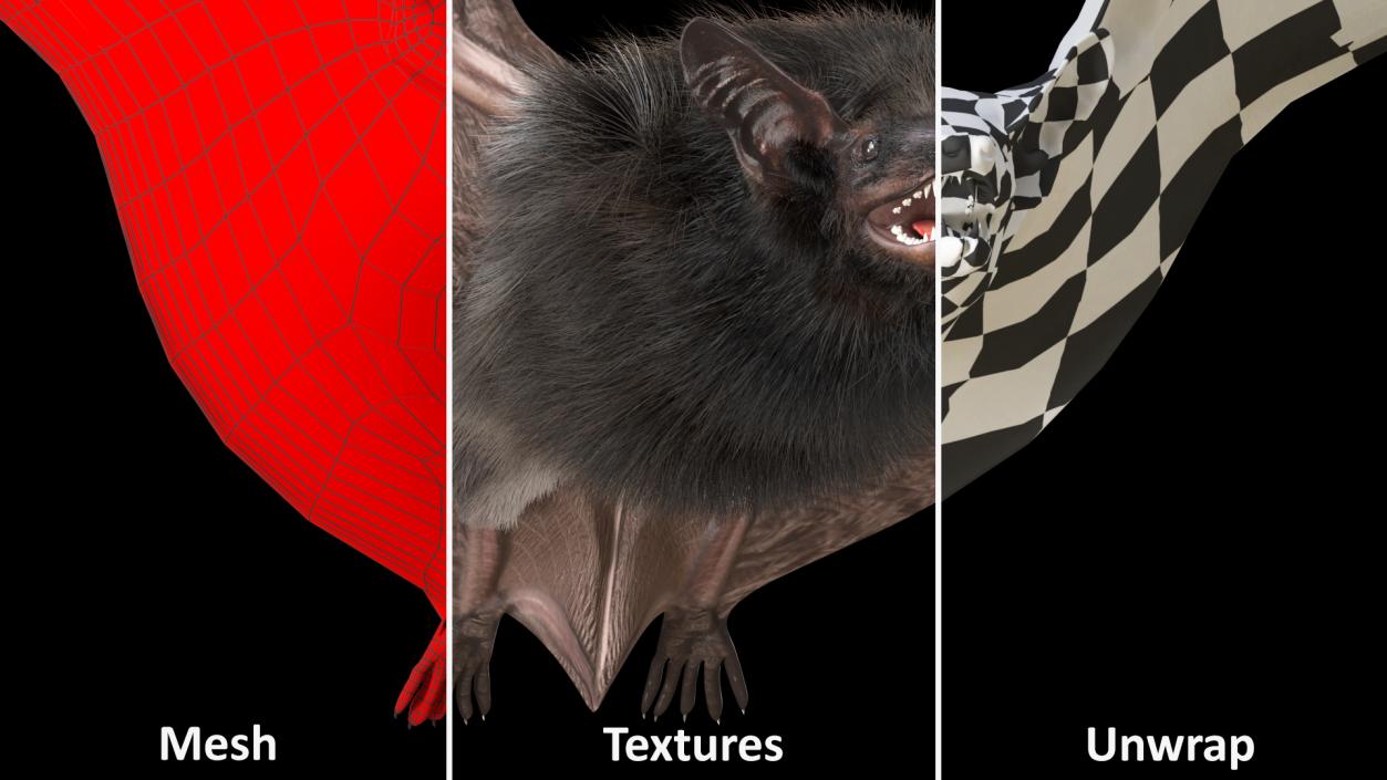 3D model Flying Black Bat Fur