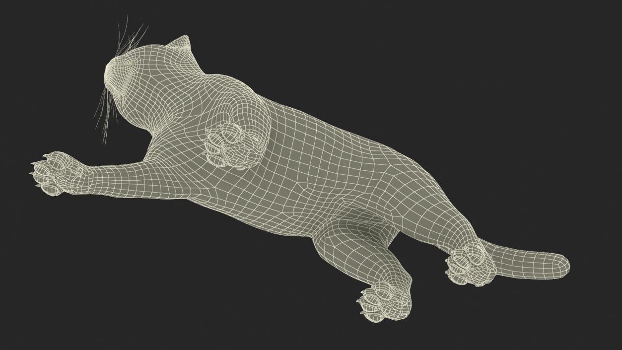 3D Cat Rigged Animated for Cinema 4D model