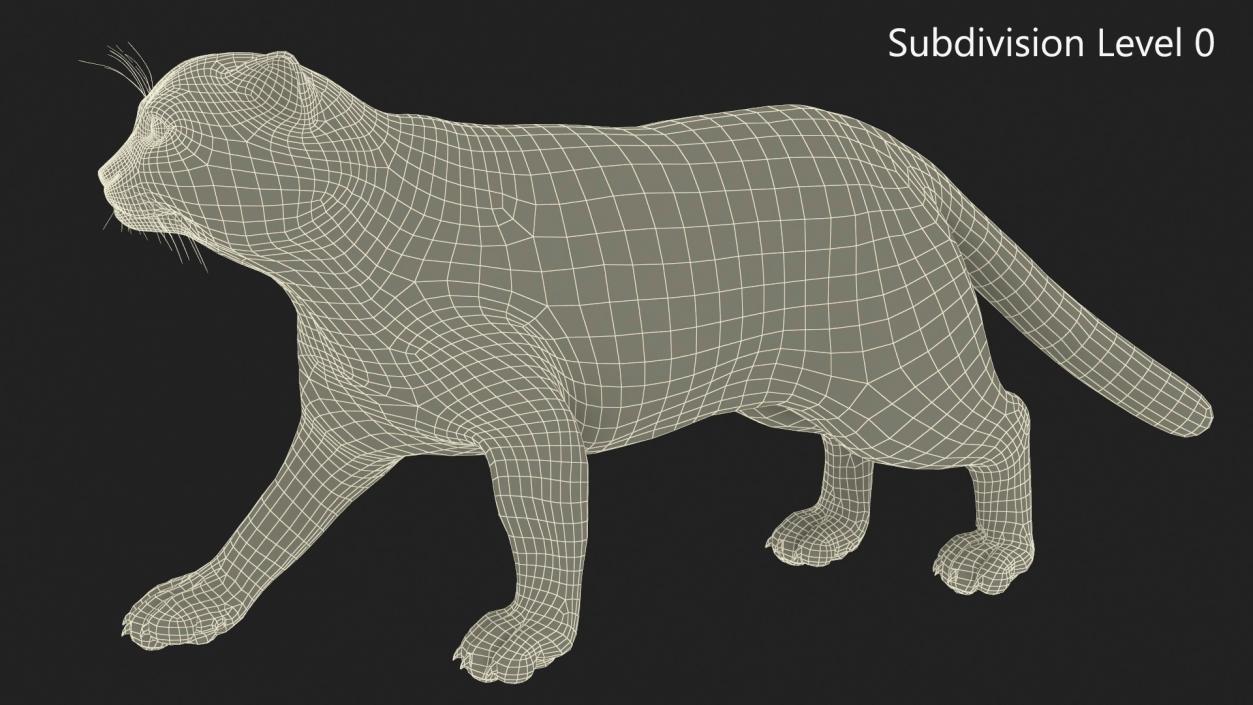 3D Cat Rigged Animated for Cinema 4D model