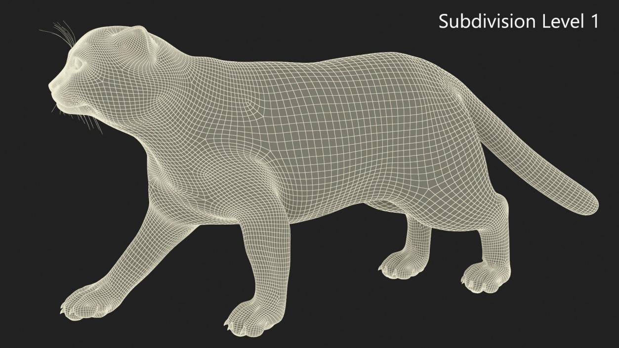 3D Cat Rigged Animated for Cinema 4D model