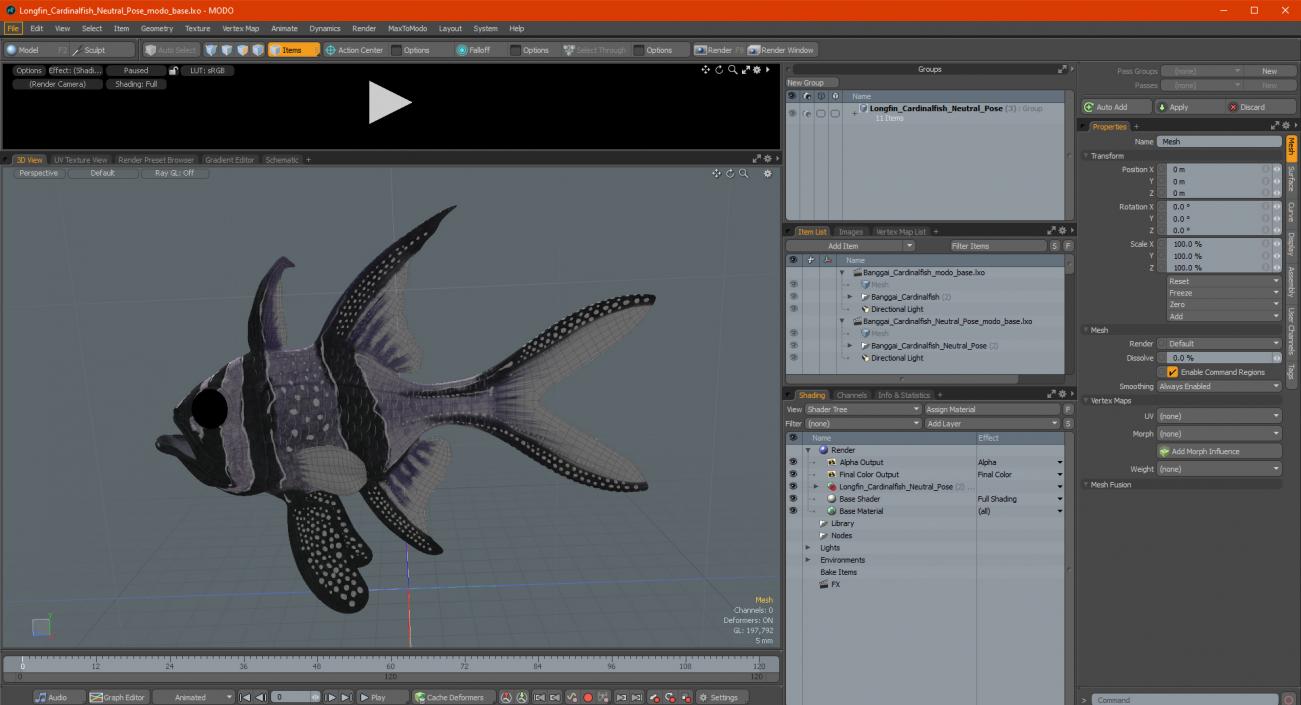 3D Longfin Cardinalfish Neutral Pose model