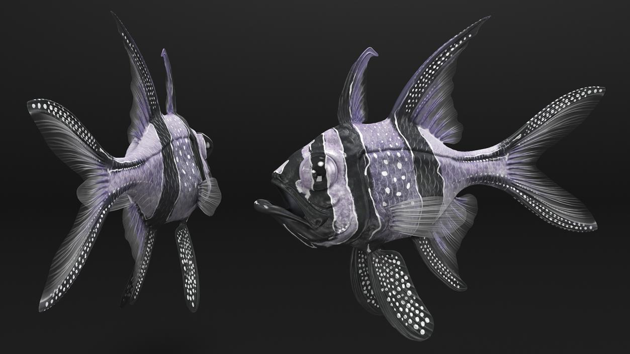 3D Longfin Cardinalfish Neutral Pose model