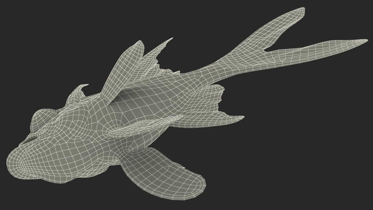 3D Longfin Cardinalfish Neutral Pose model