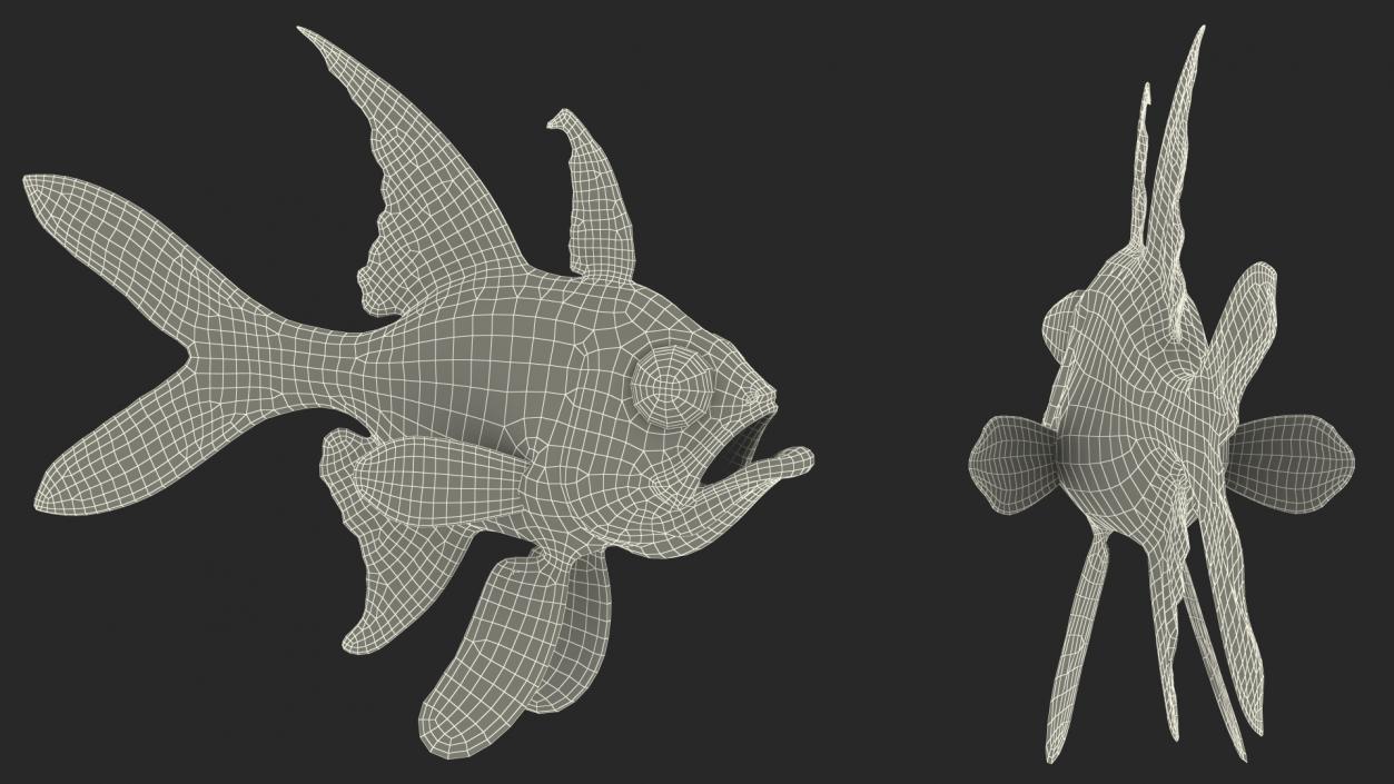 3D Longfin Cardinalfish Neutral Pose model