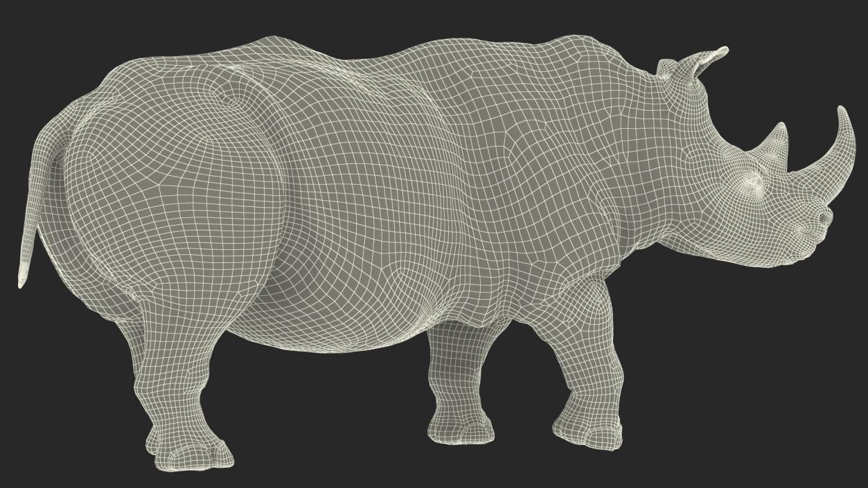 Adult Rhino Fur Rigged 3D