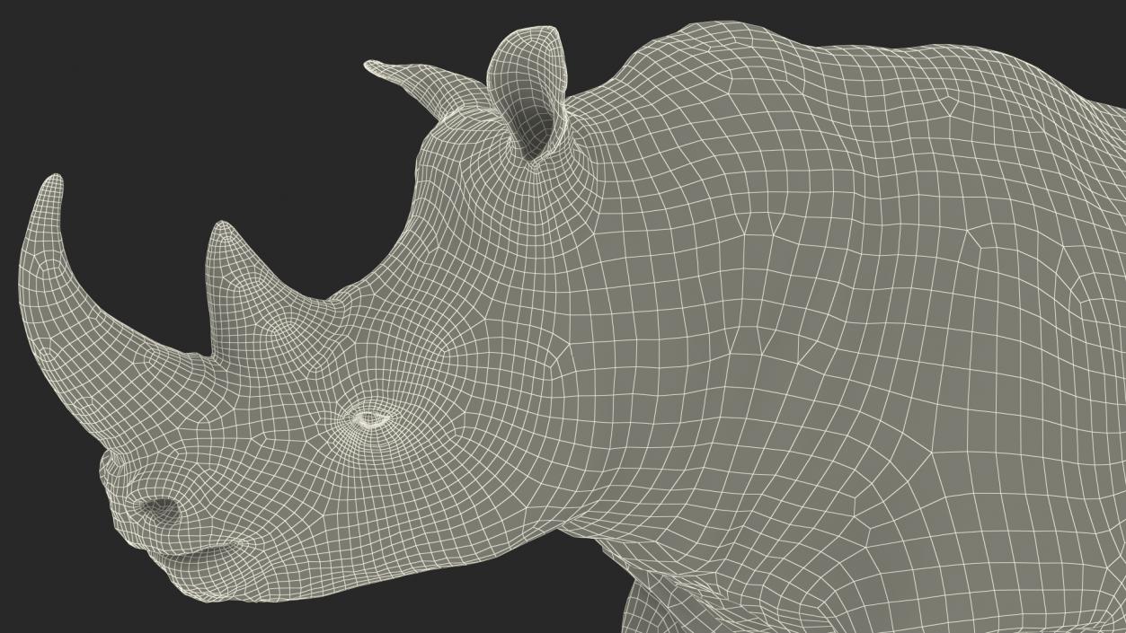 Adult Rhino Fur Rigged 3D