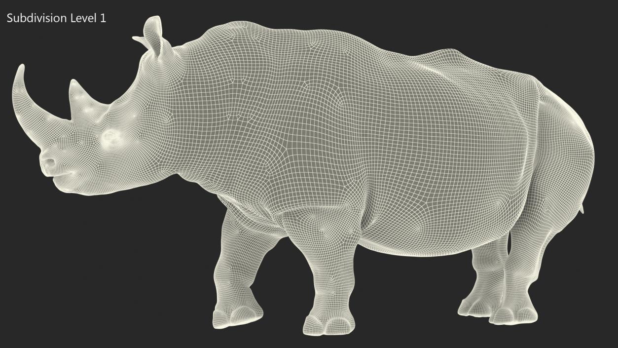 Adult Rhino Fur Rigged 3D