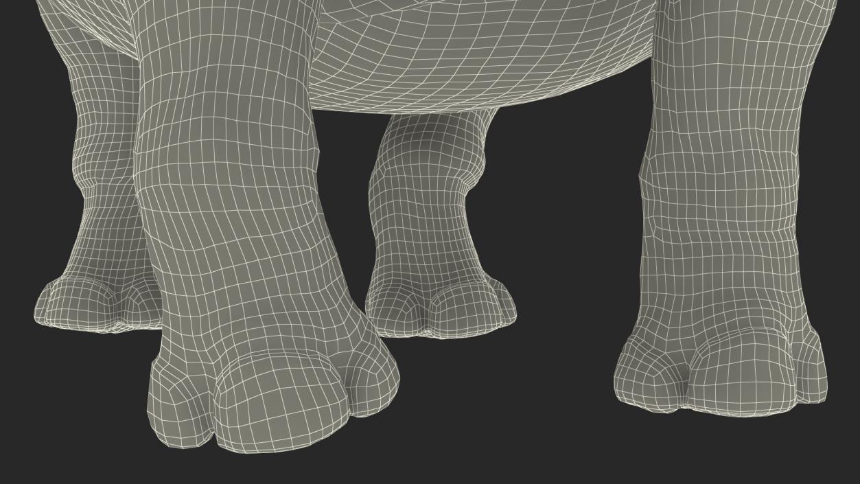 Adult Rhino Fur Rigged 3D